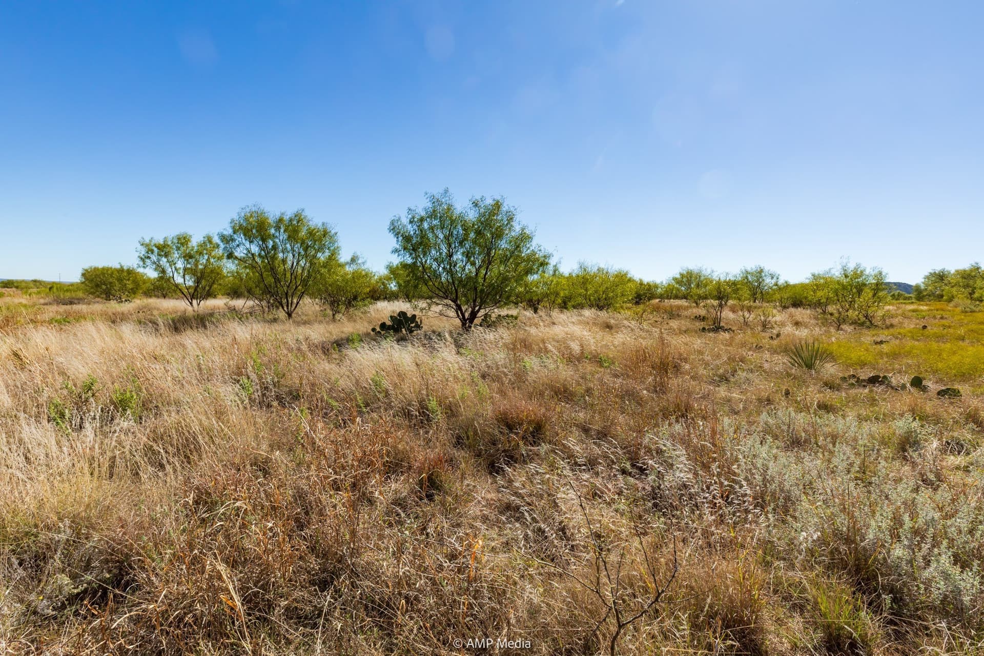 77.47 acres in Taylor County - photo 24