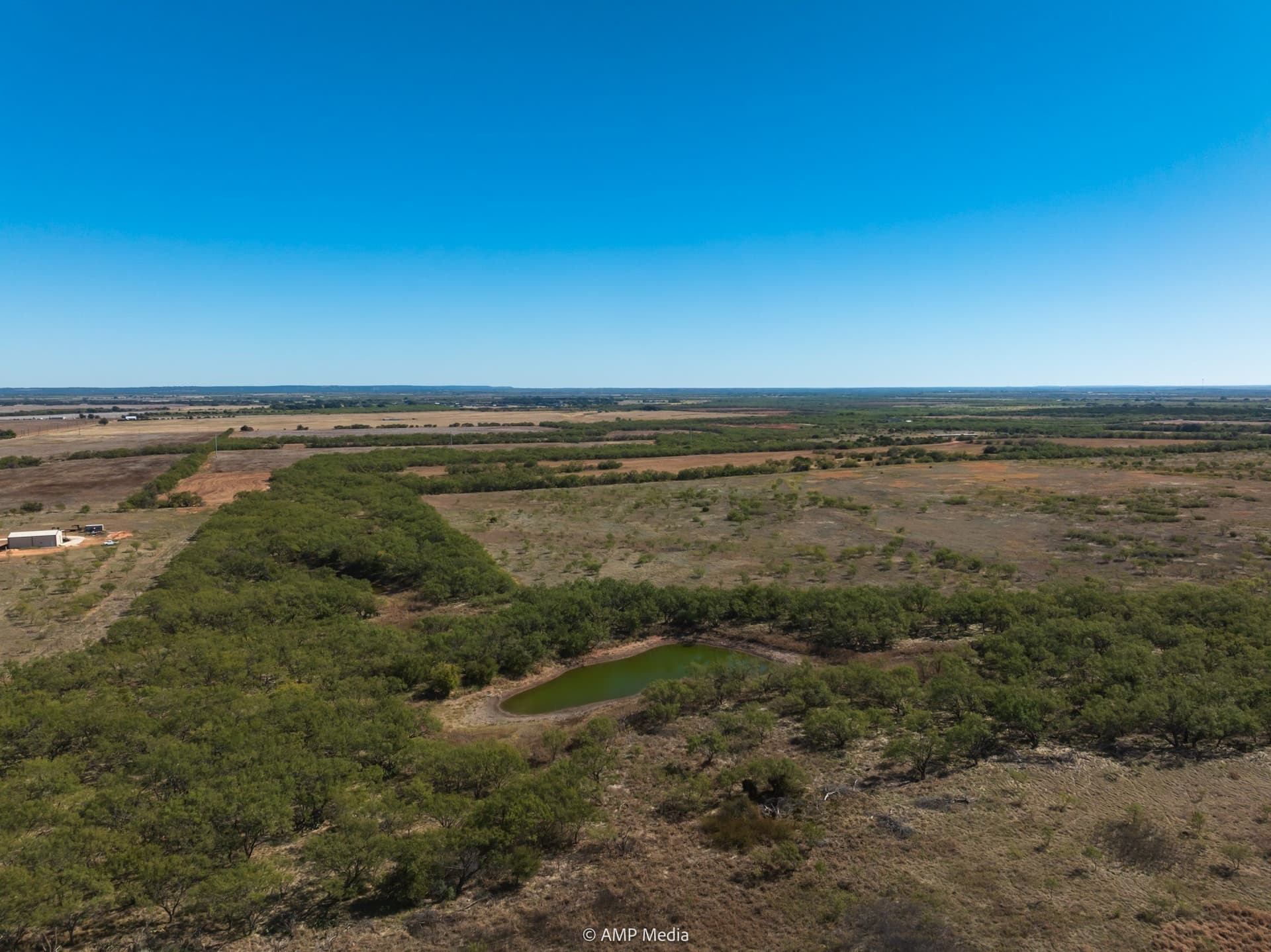 77.47 acres in Taylor County featured view