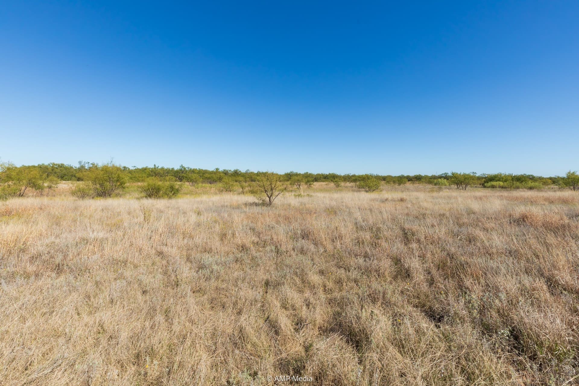 77.47 acres in Taylor County - photo 21
