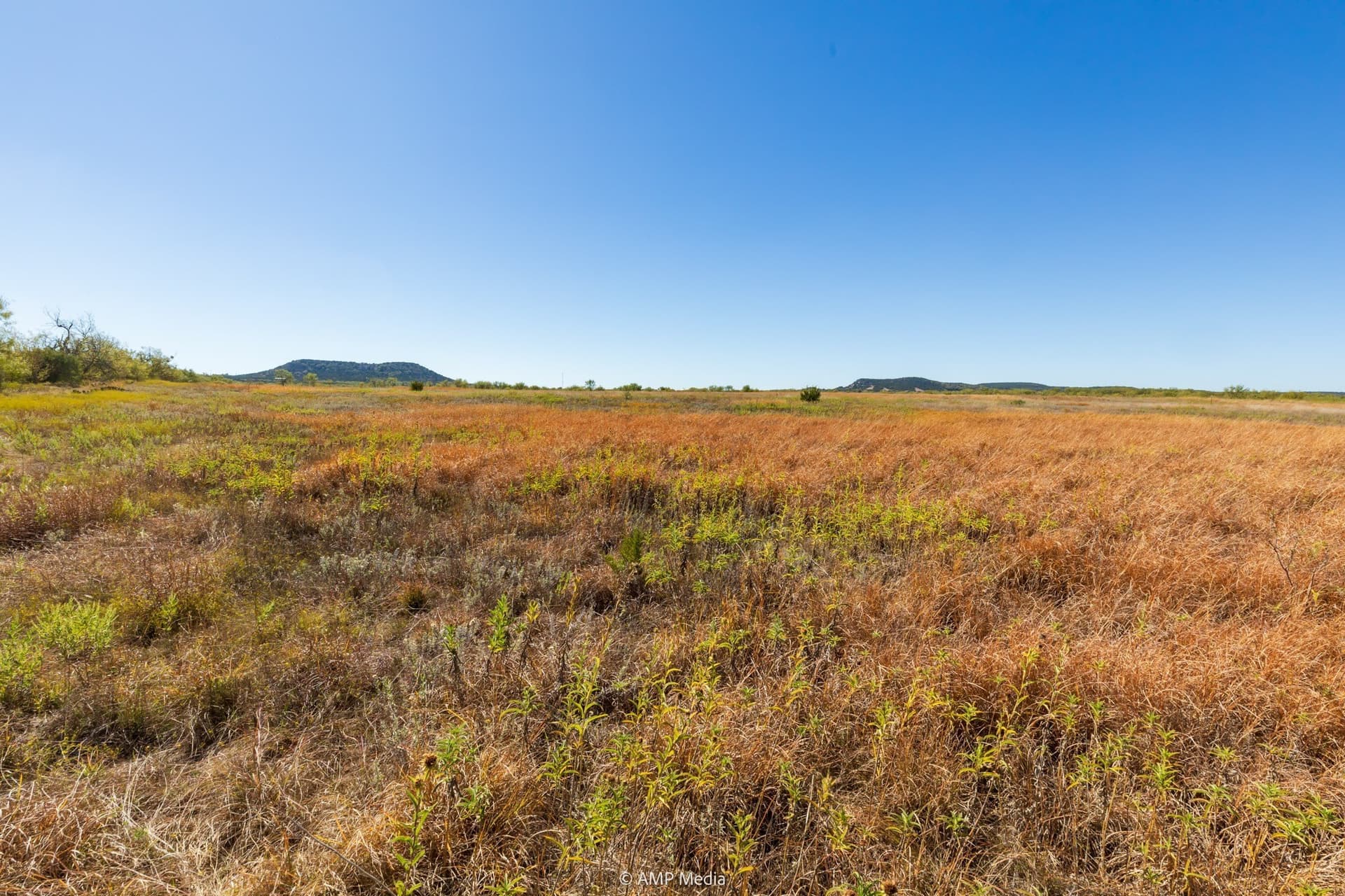 77.47 acres in Taylor County - photo 12