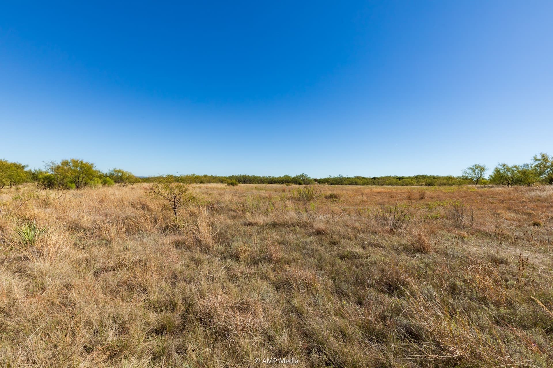77.47 acres in Taylor County - photo 34