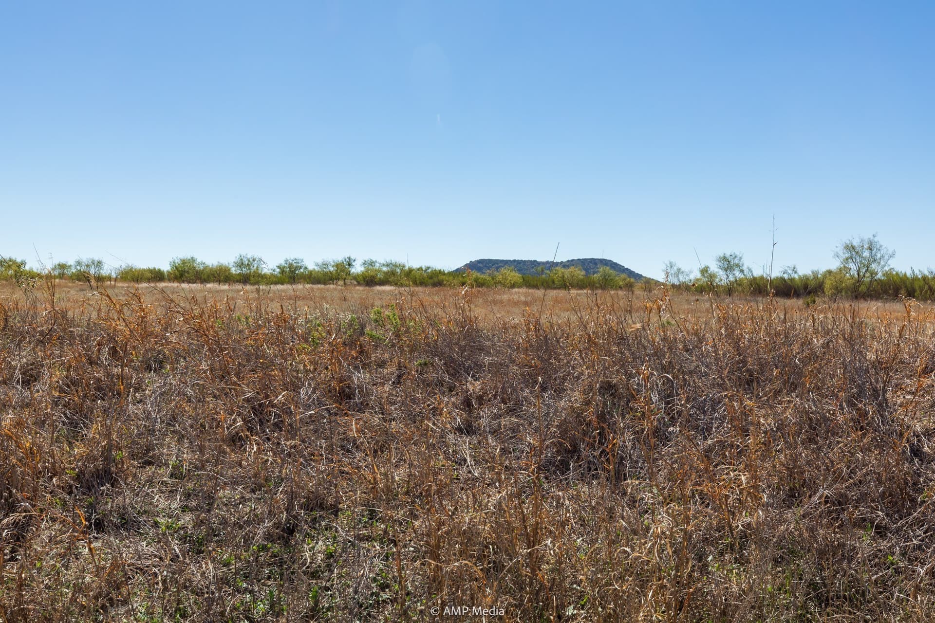 77.47 acres in Taylor County - photo 10
