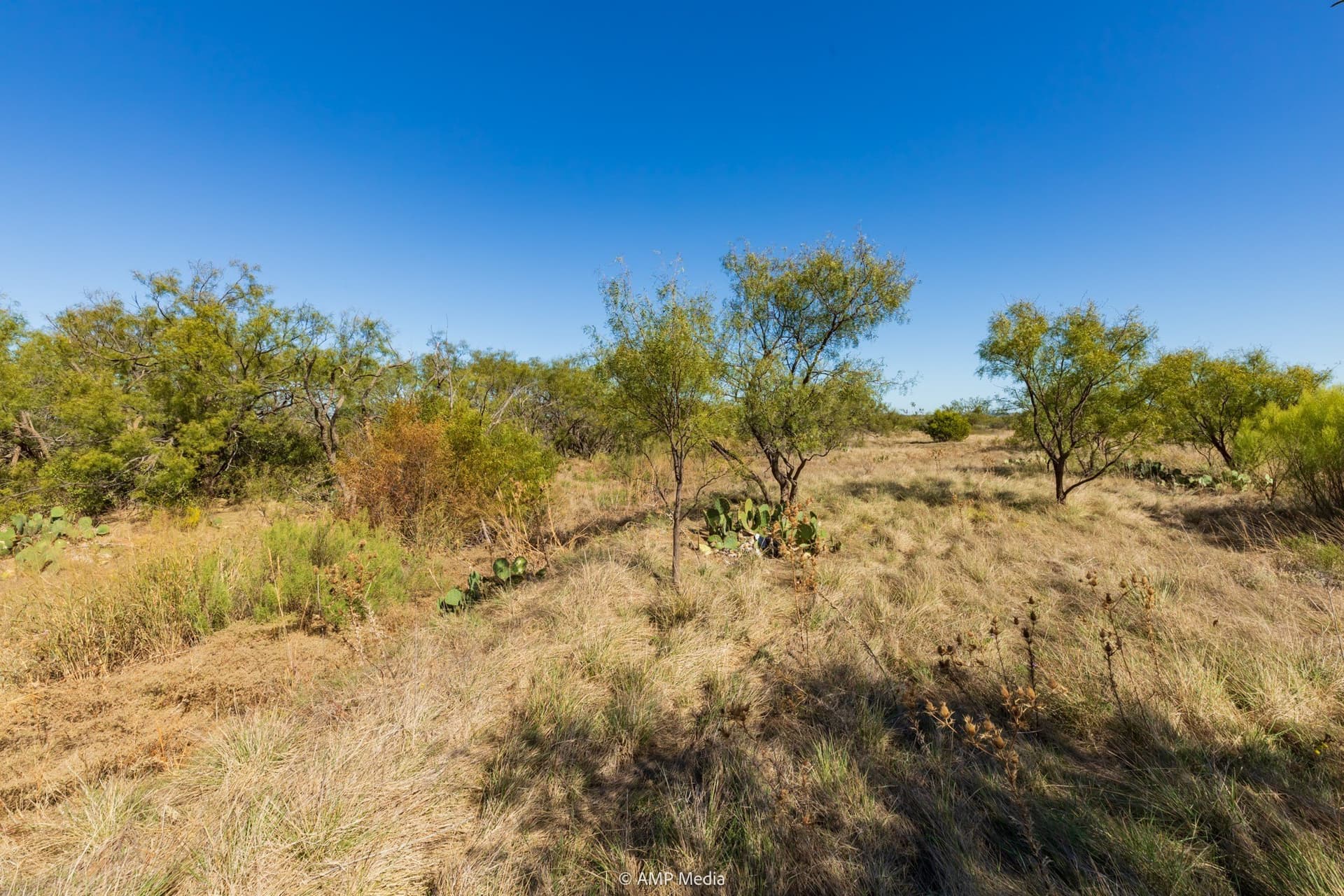 77.47 acres in Taylor County - photo 33