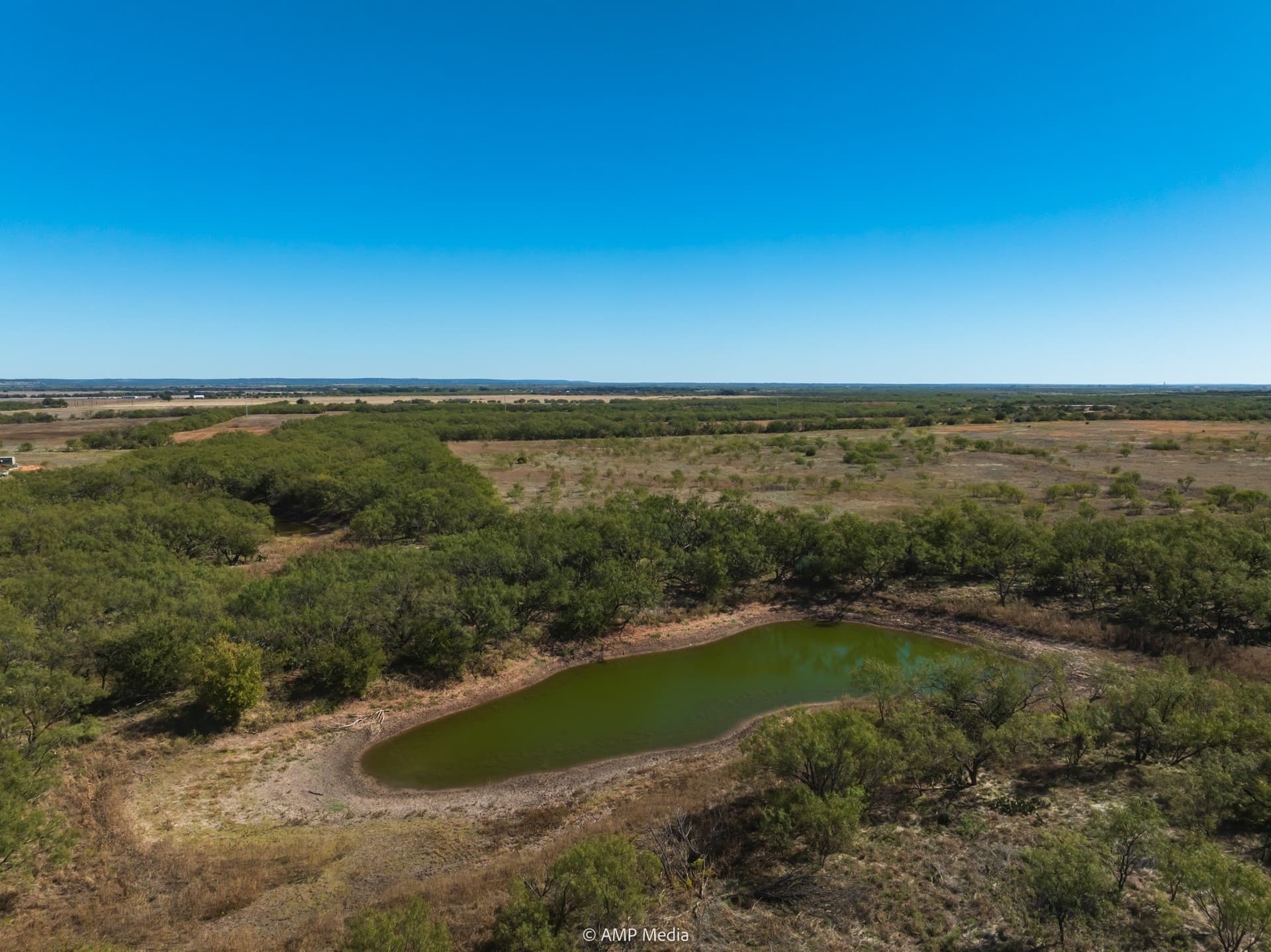 77.47 acres in Taylor County gallery image 2