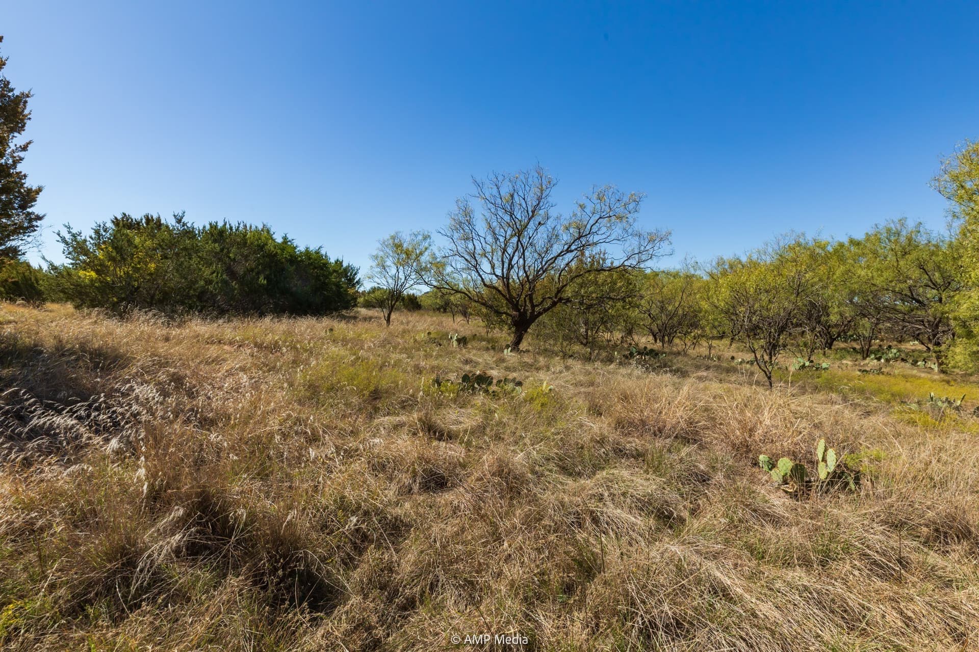 77.47 acres in Taylor County - photo 27