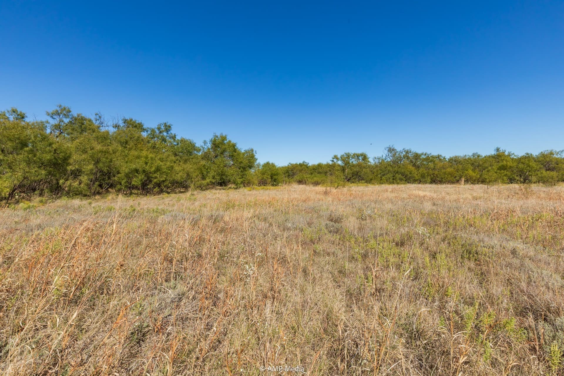 77.47 acres in Taylor County - photo 20