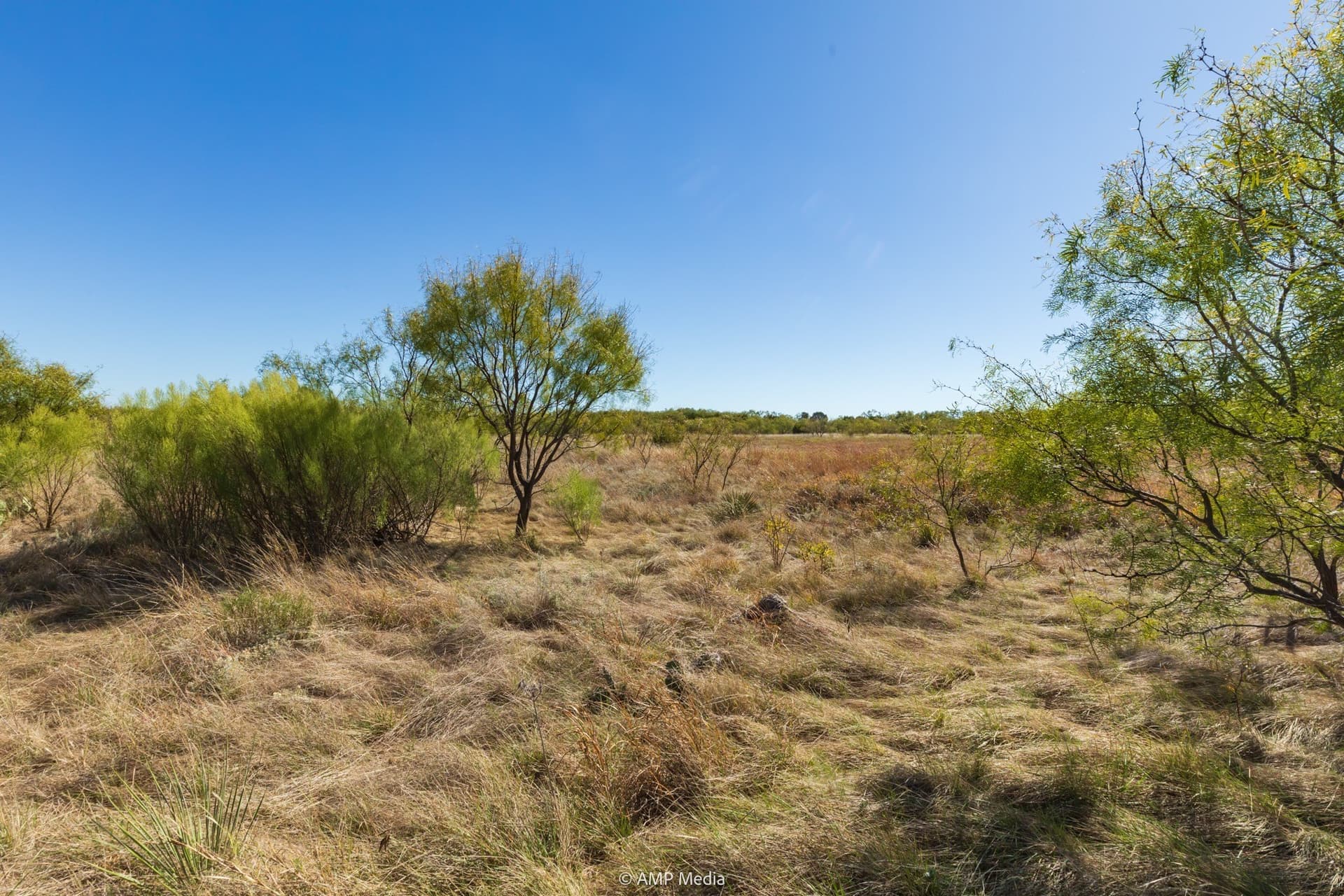 77.47 acres in Taylor County - photo 32