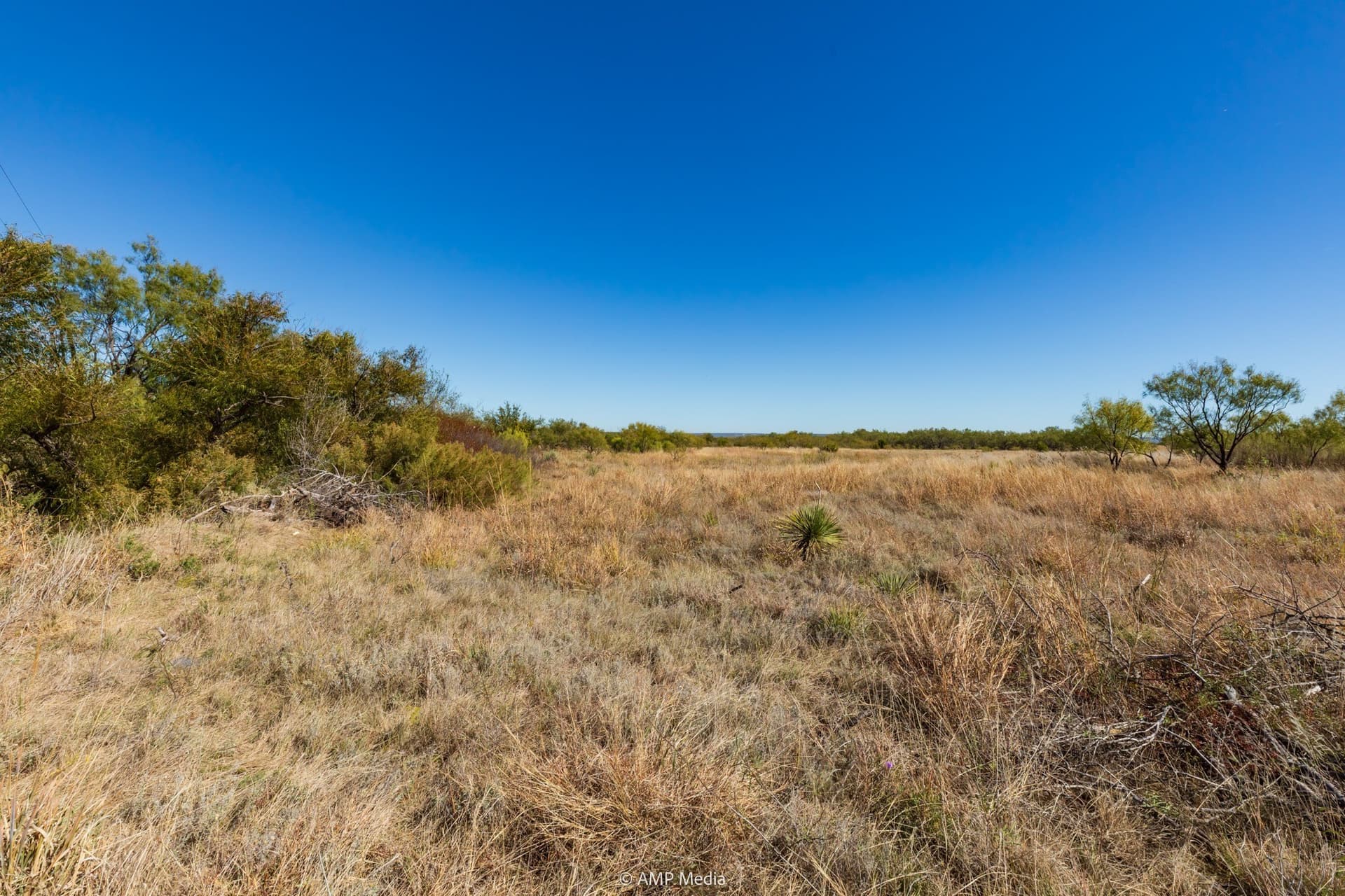 77.47 acres in Taylor County - photo 9
