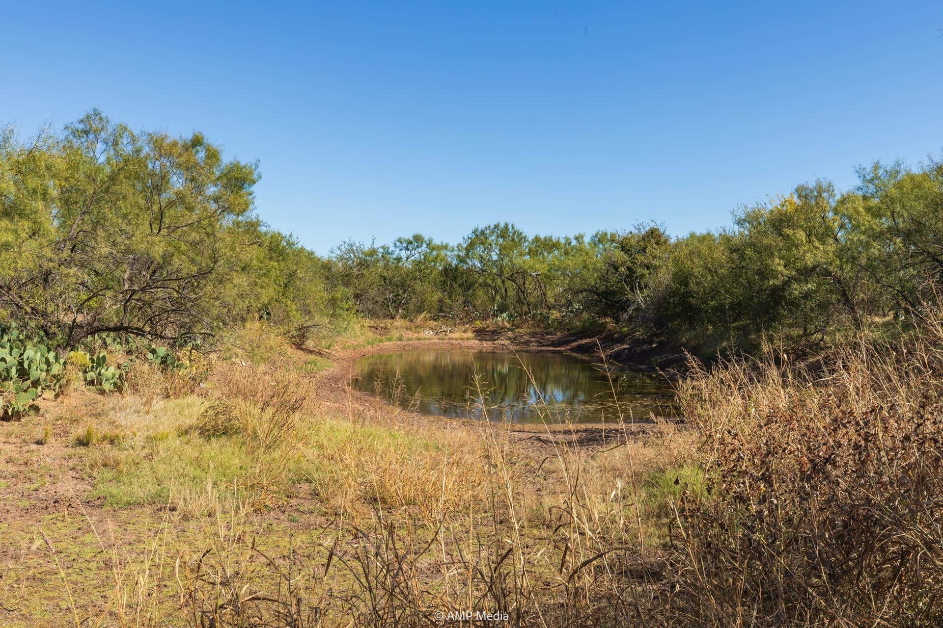 77.47 acres in Taylor County - photo 19