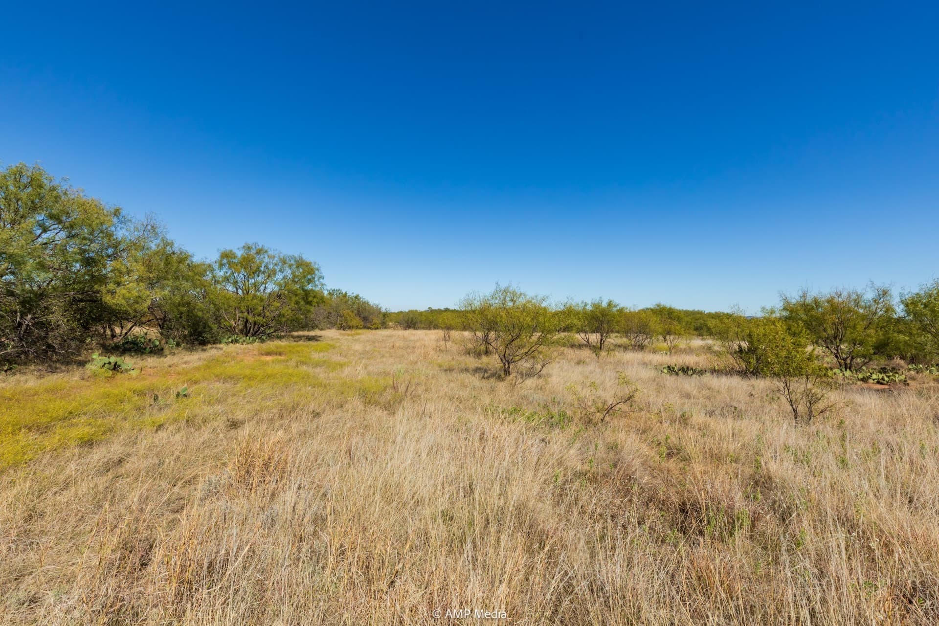 77.47 acres in Taylor County - photo 23