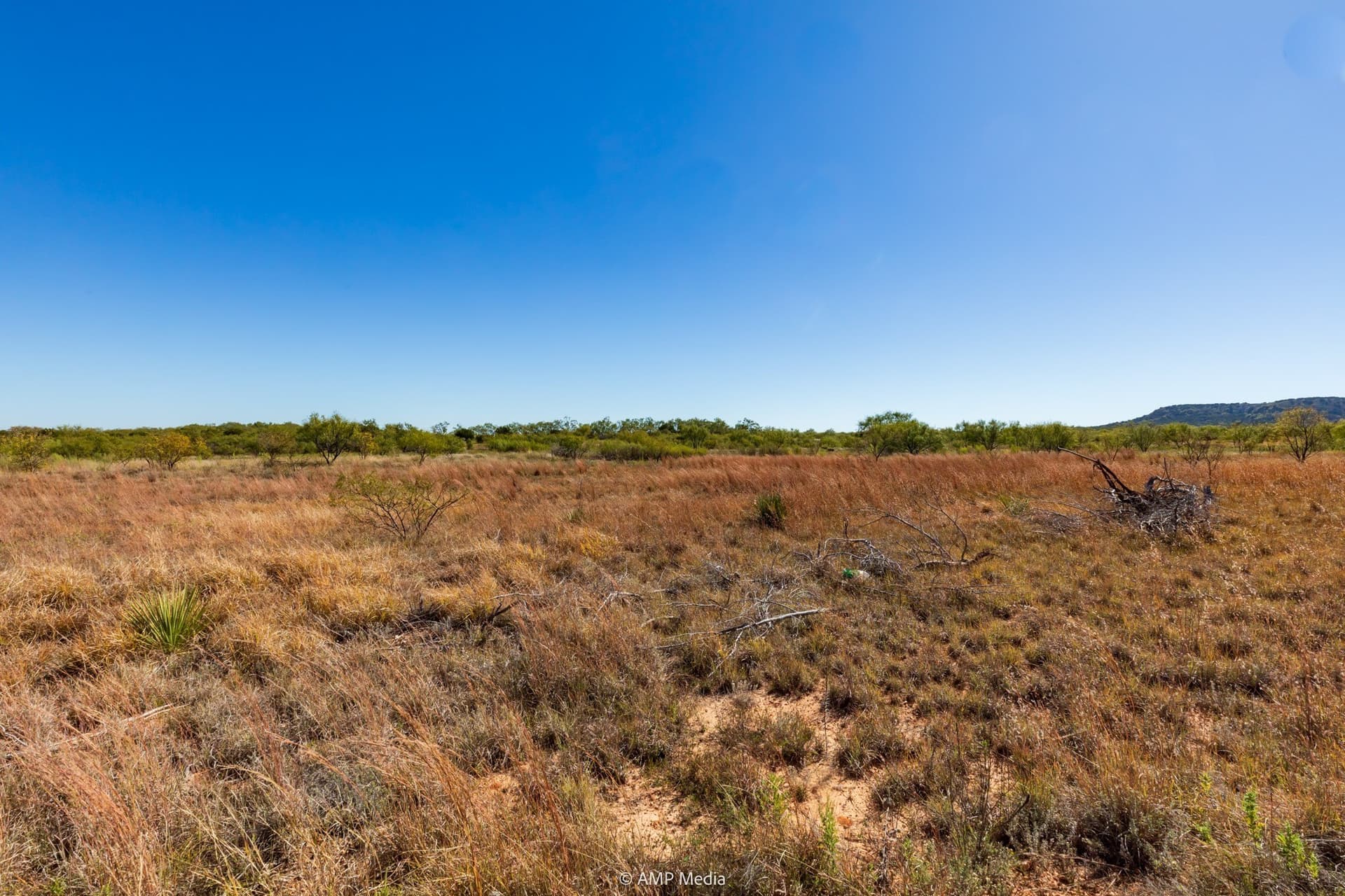 77.47 acres in Taylor County - photo 7