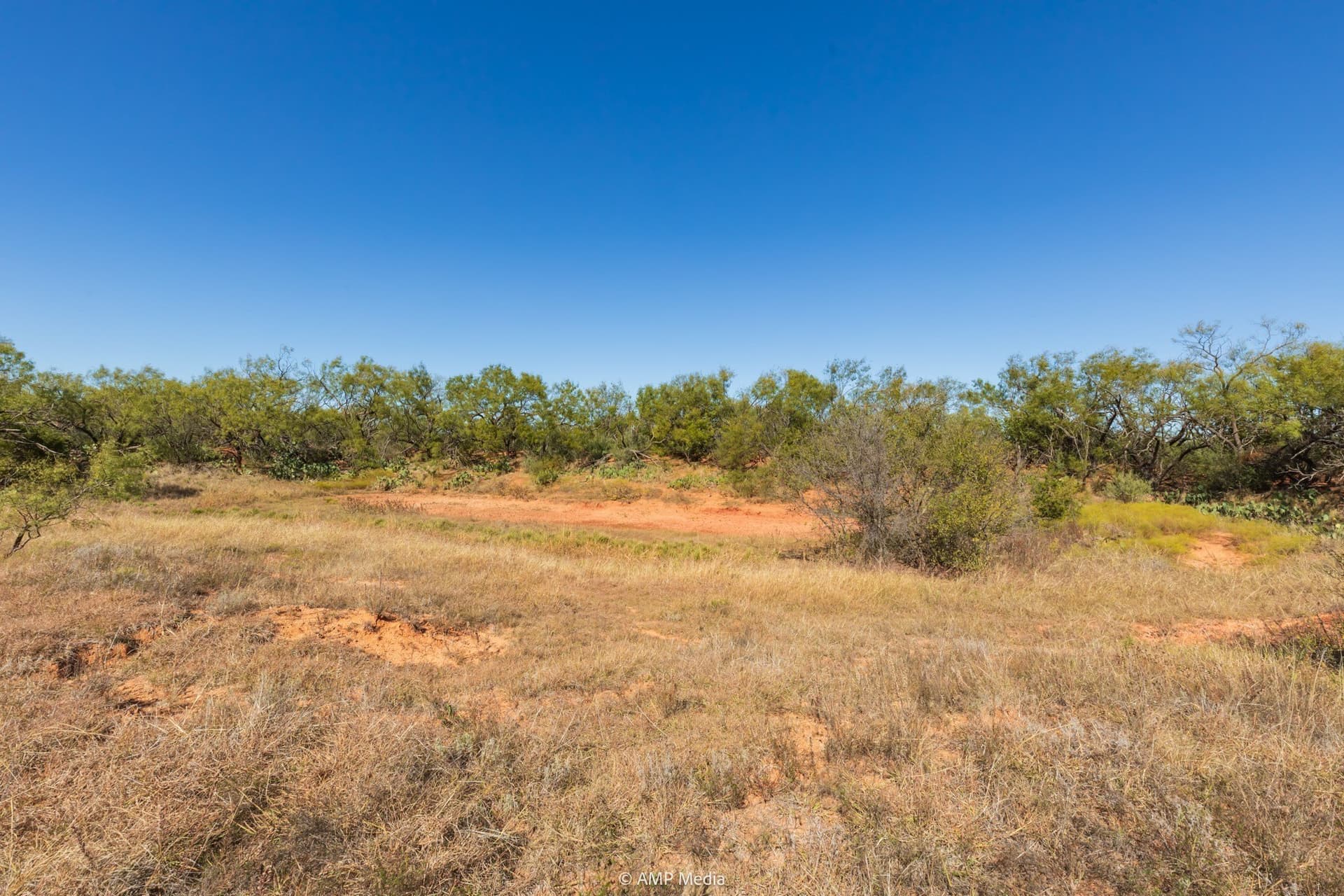 77.47 acres in Taylor County - photo 26