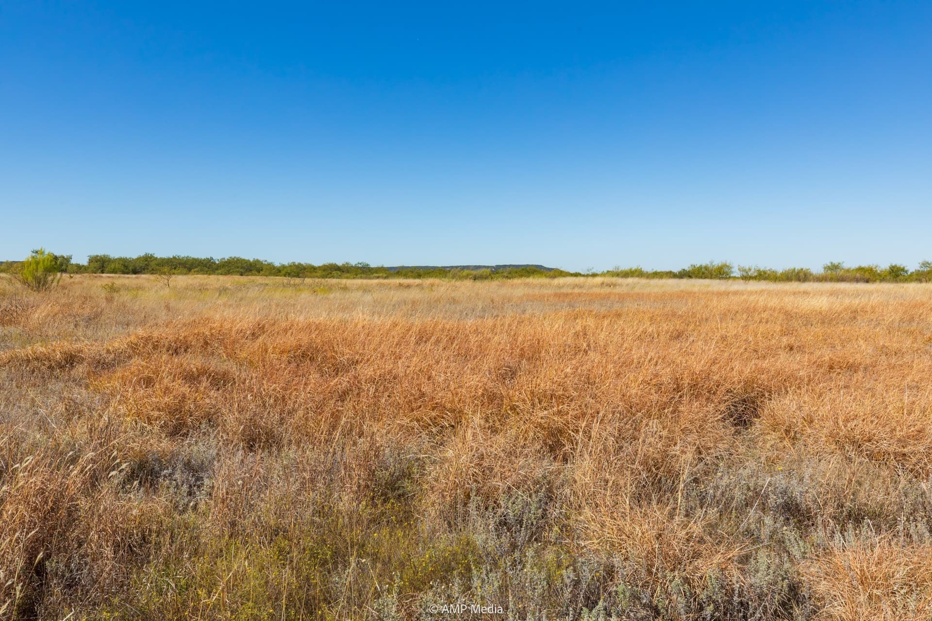 77.47 acres in Taylor County - photo 13