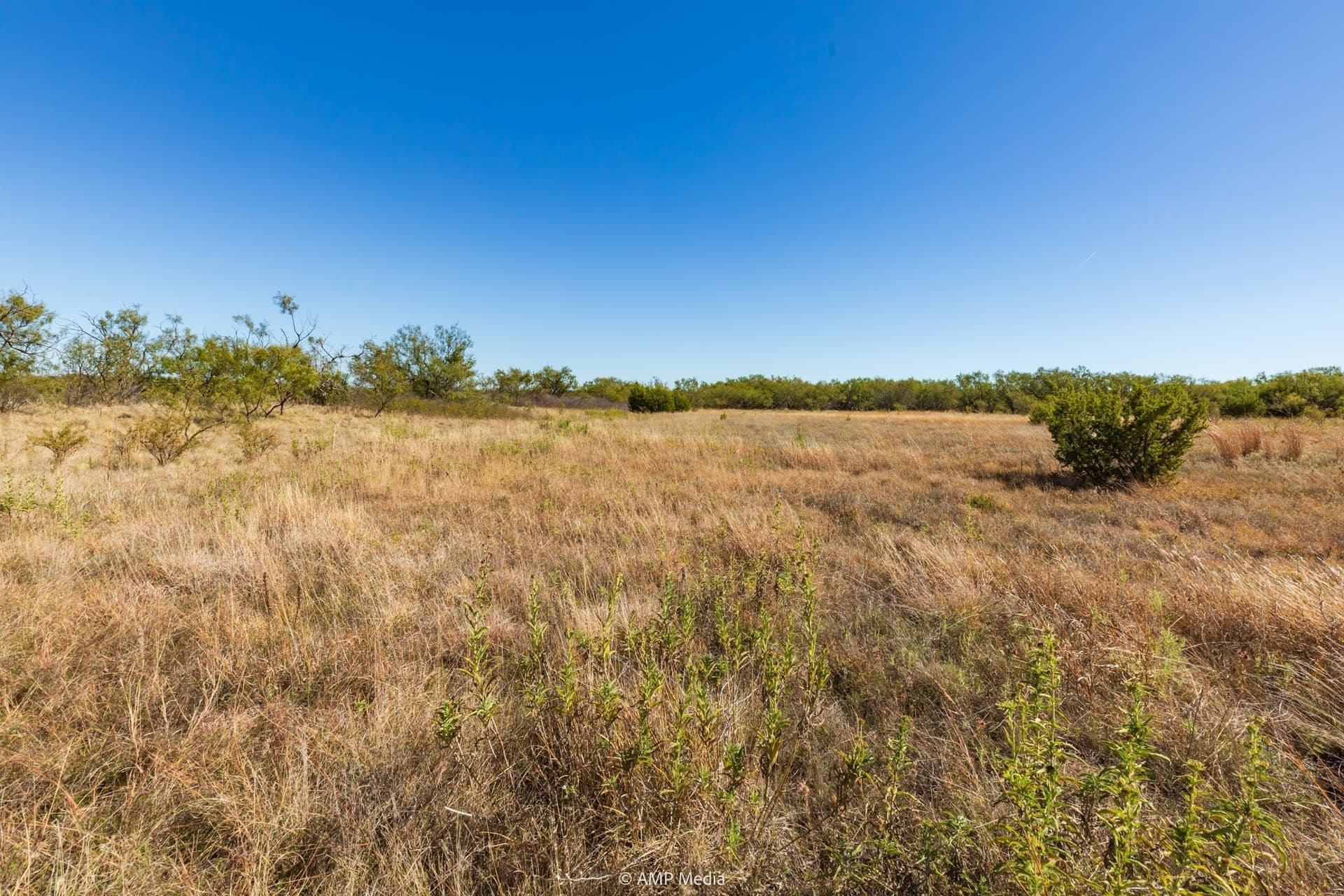 77.47 acres in Taylor County - photo 31