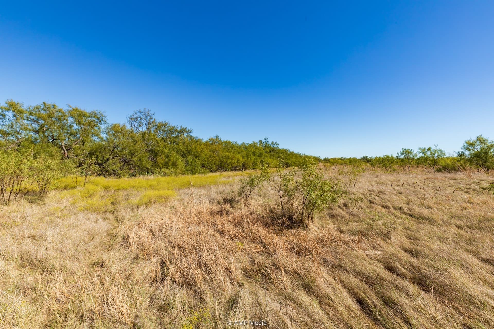 77.47 acres in Taylor County - photo 18