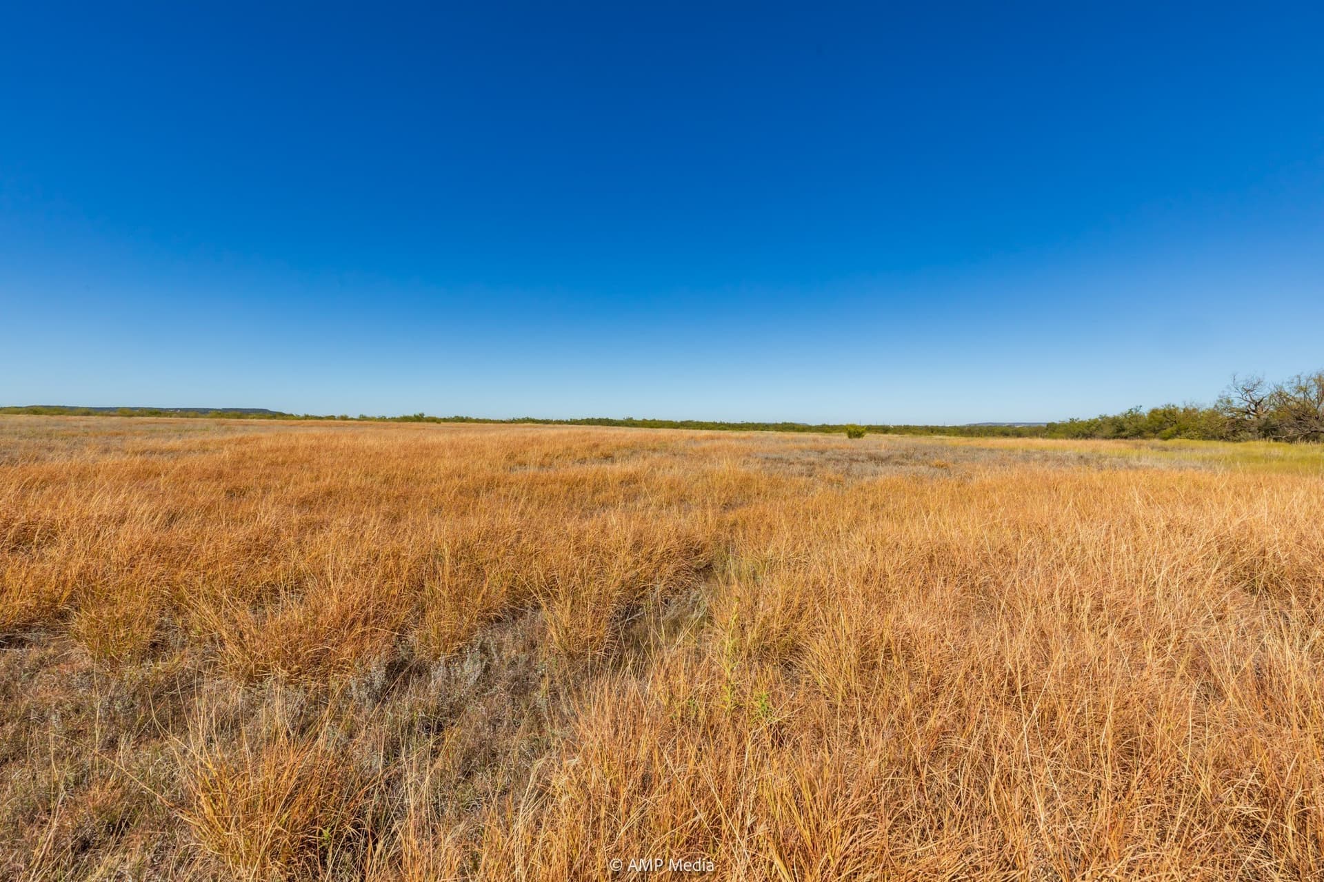 77.47 acres in Taylor County - photo 15