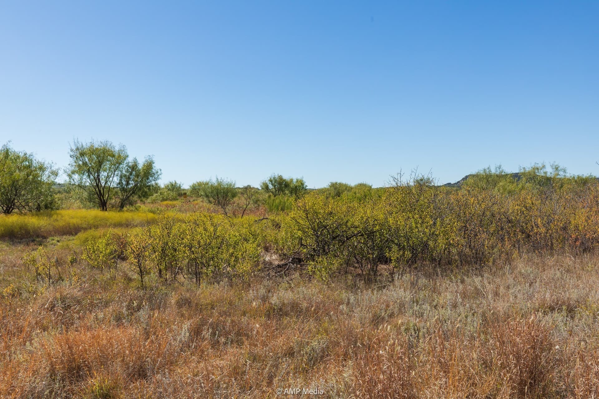 77.47 acres in Taylor County - photo 14