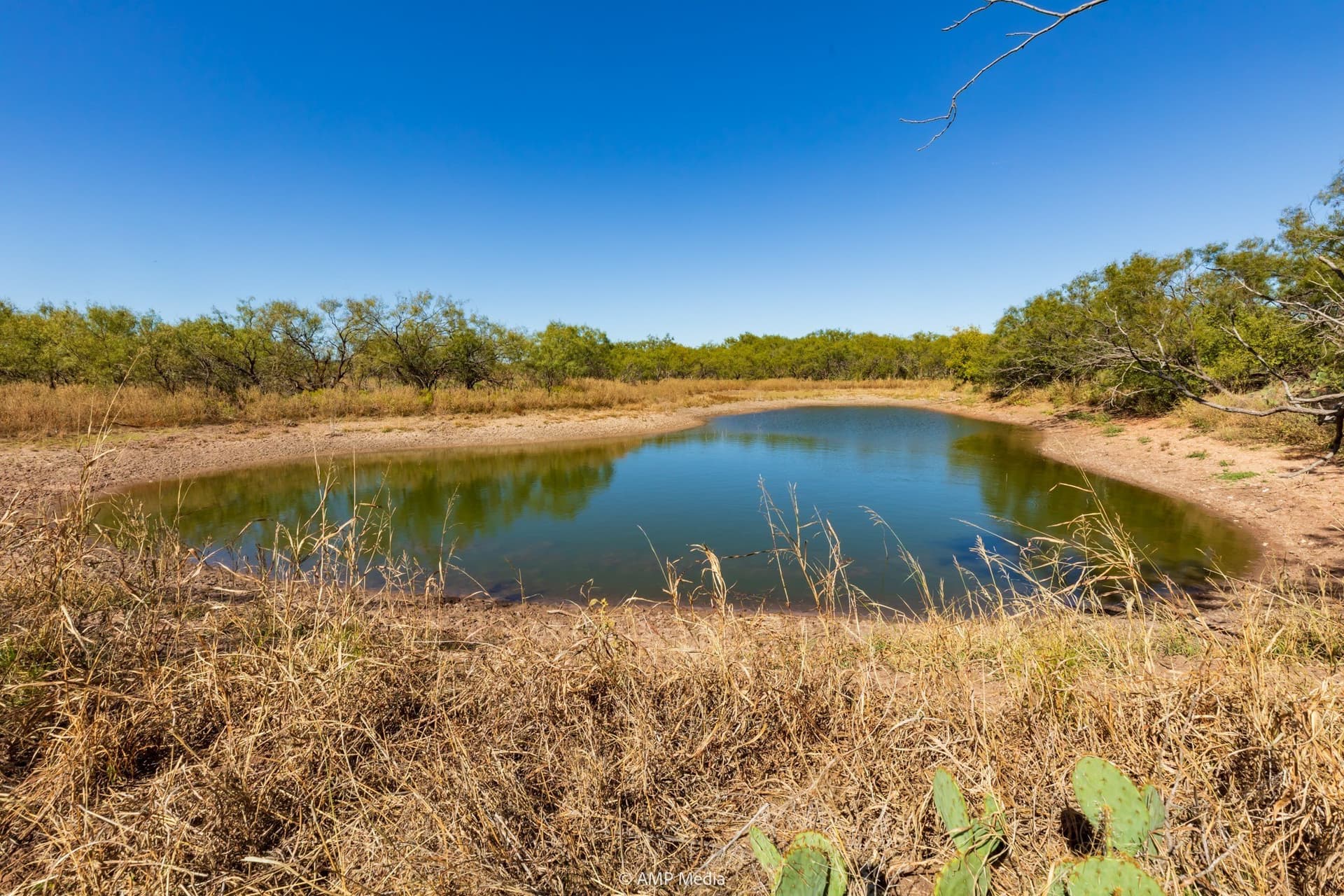 77.47 acres in Taylor County