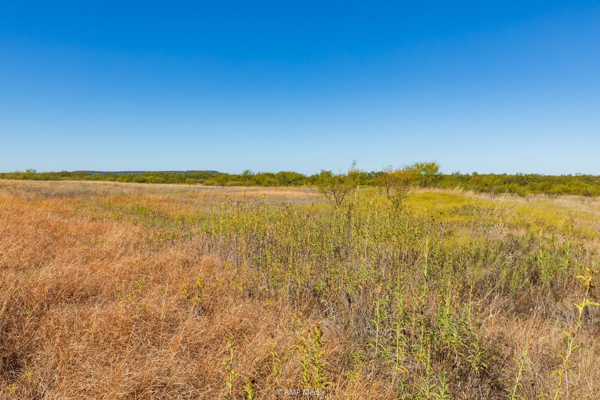 77.47 acres in Taylor County - photo 16