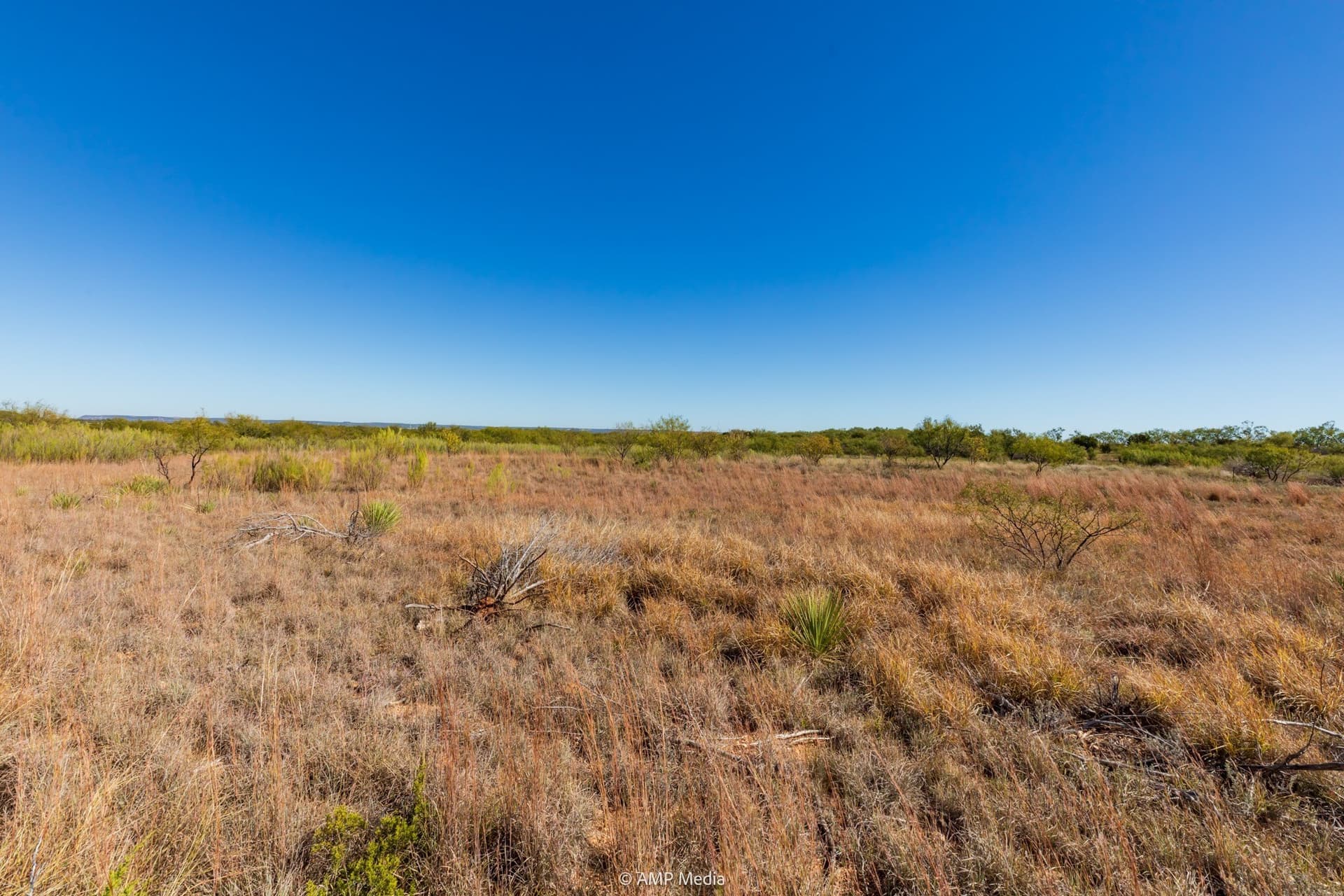 77.47 acres in Taylor County - photo 8