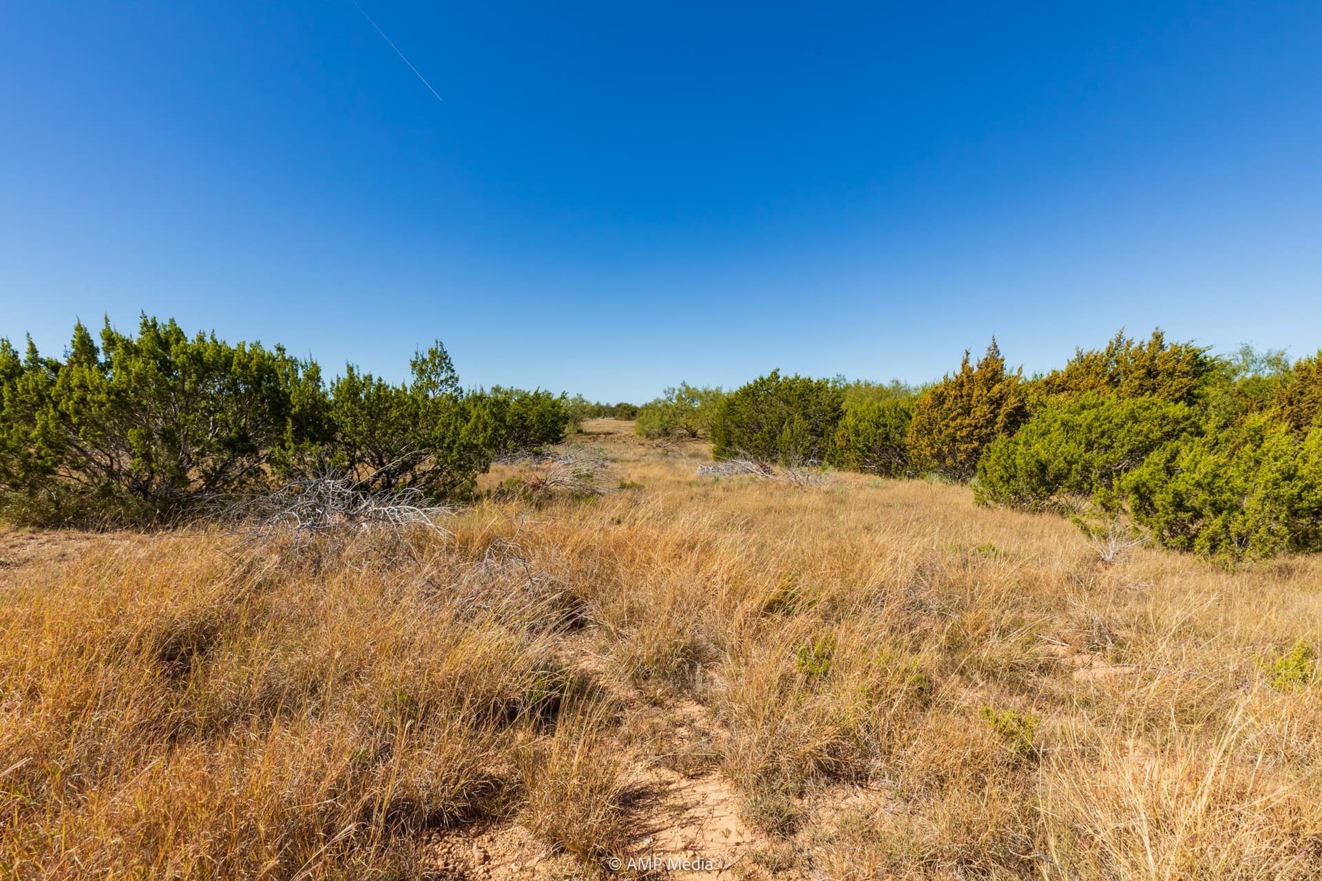 77.47 acres in Taylor County - photo 25