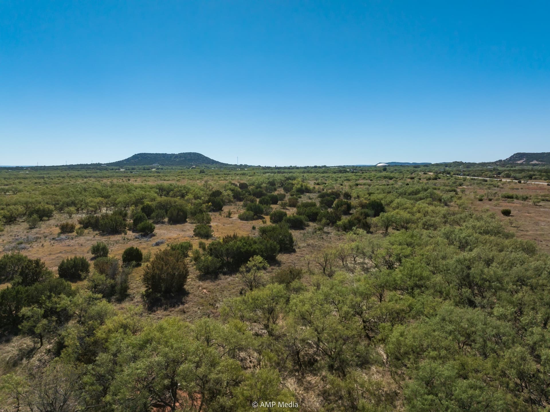 77.47 acres in Taylor County gallery image 3