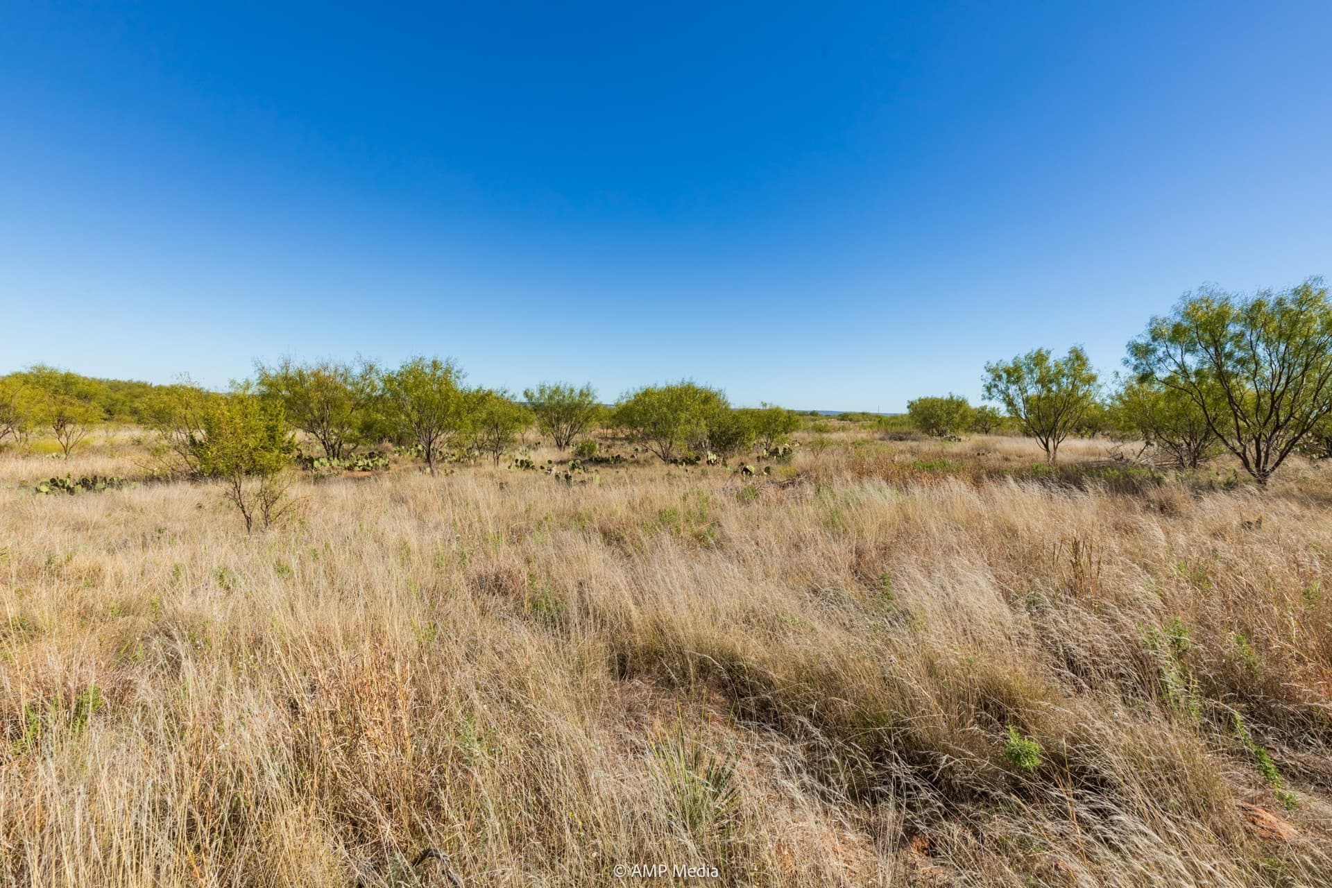 77.47 acres in Taylor County - photo 22