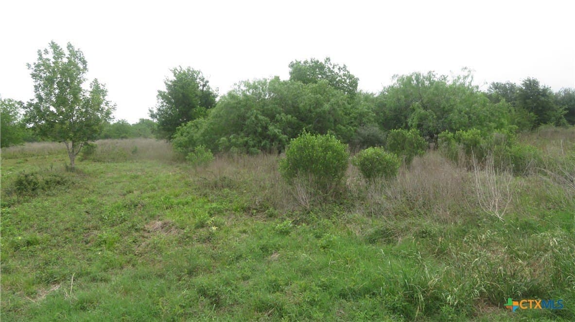 38 acres in Jackson County - photo 35