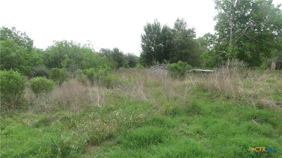 38 acres in Jackson County - photo 34