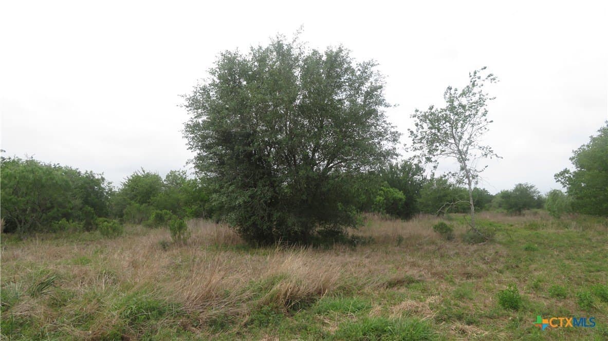 38 acres in Jackson County - photo 32