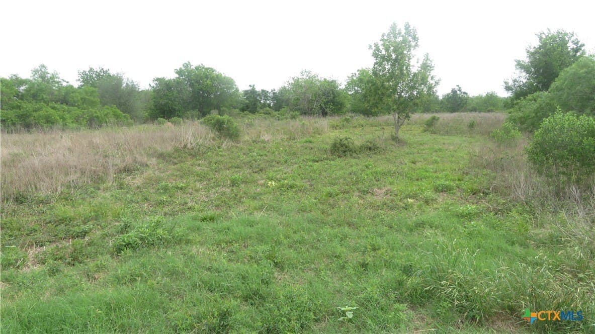 38 acres in Jackson County - photo 29