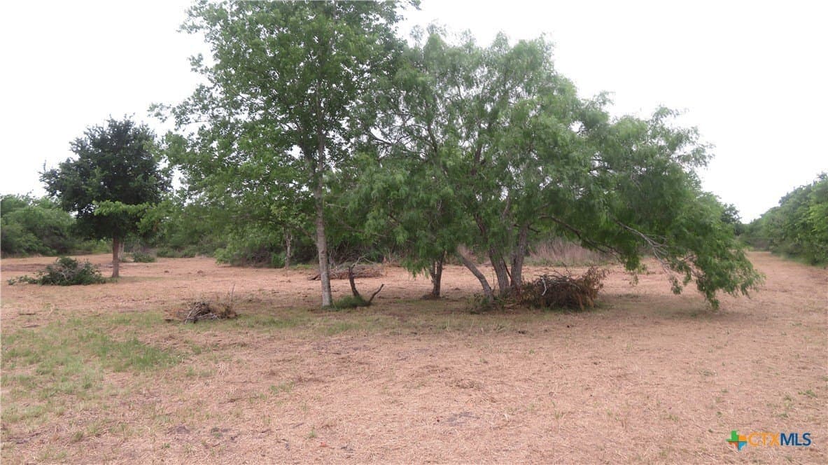 38 acres in Jackson County - photo 22