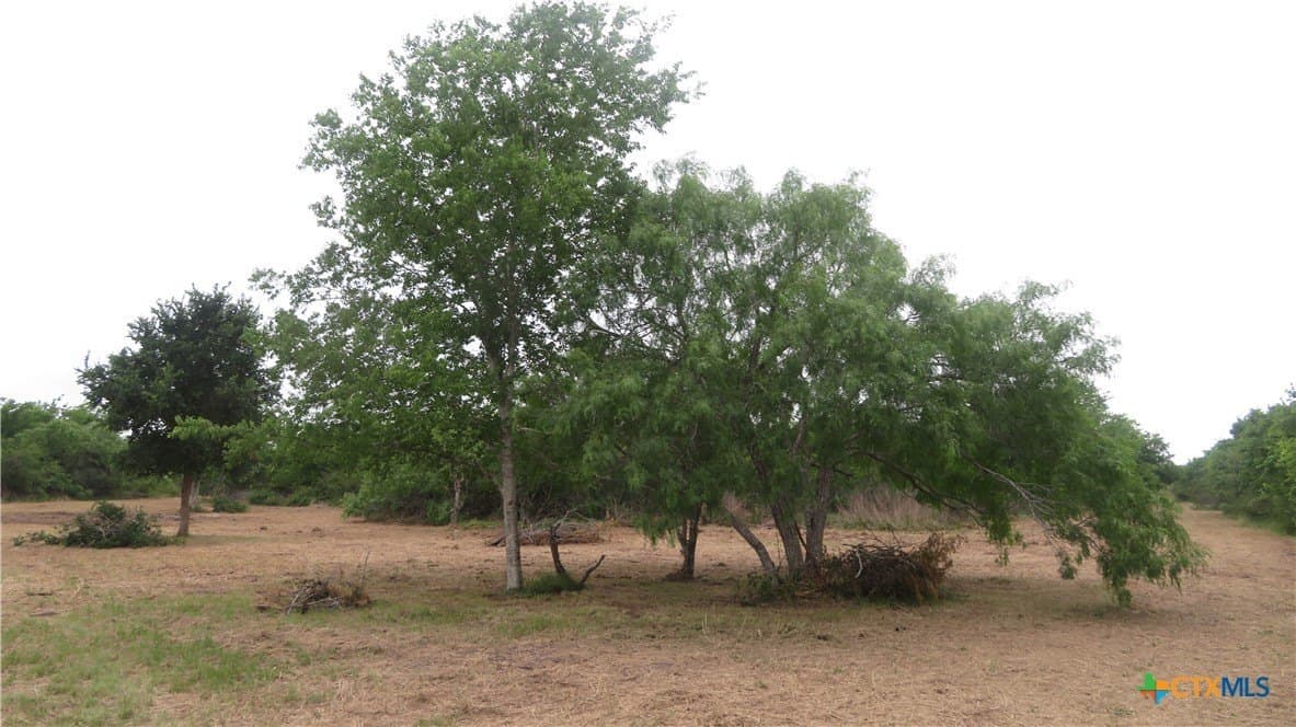 38 acres in Jackson County - photo 21