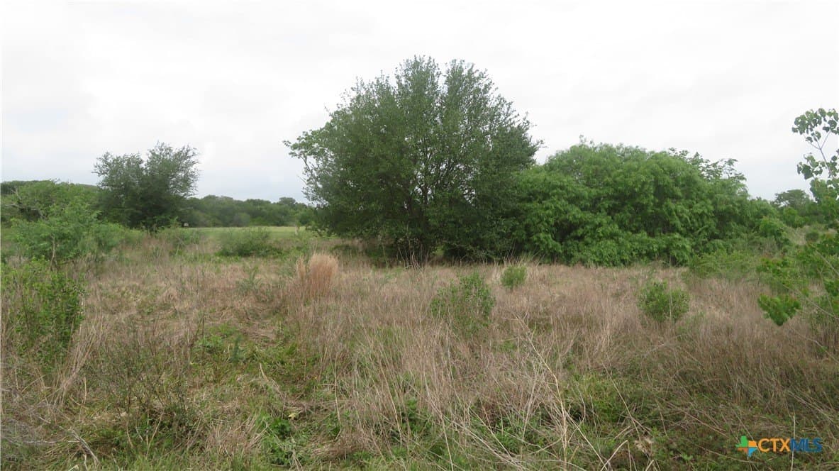 38 acres in Jackson County - photo 30