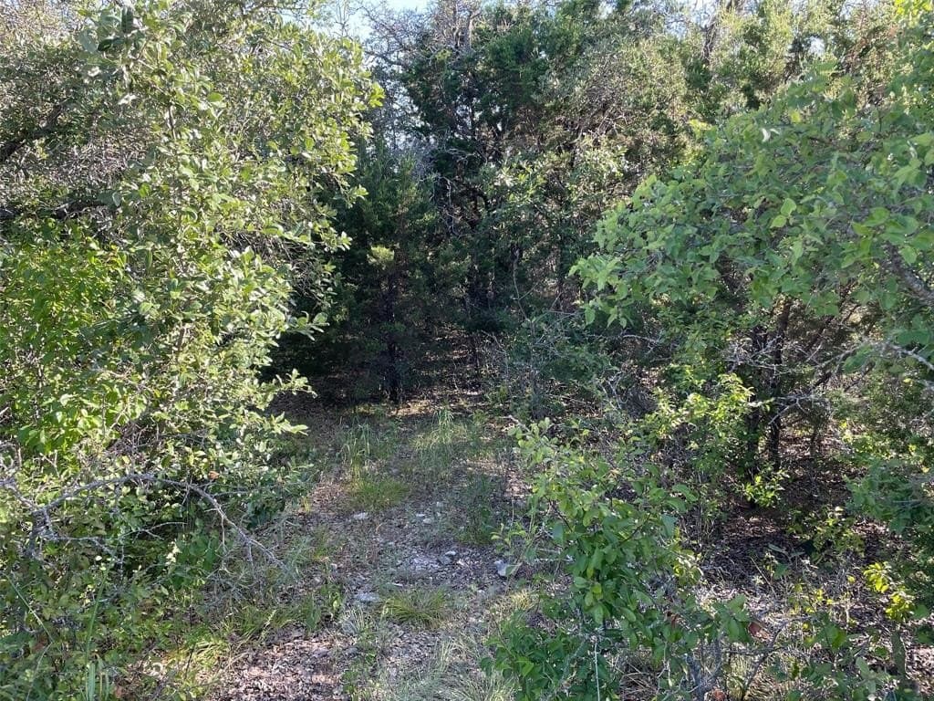 0.89 acres in Eastland County featured view