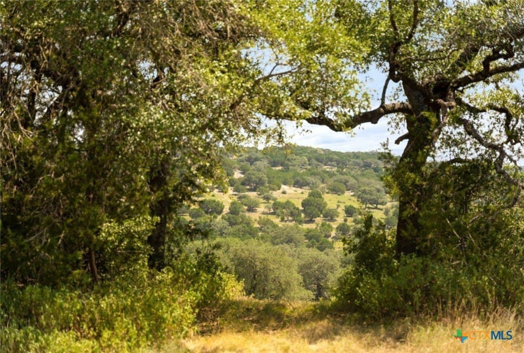 103.89 acres in Burnet County - photo 22