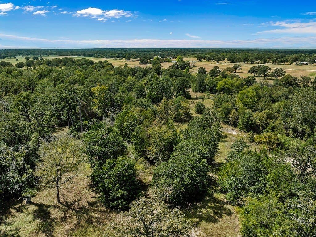 4.89 acres in Burleson County gallery image 4