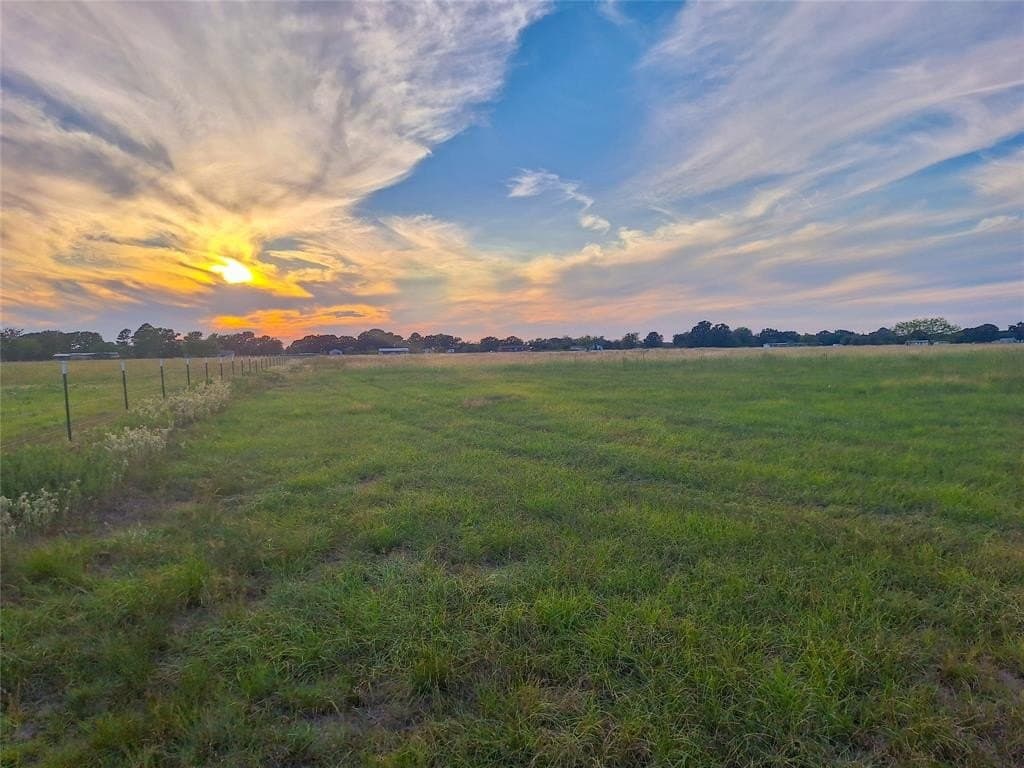 9 acres in Henderson County gallery image 2