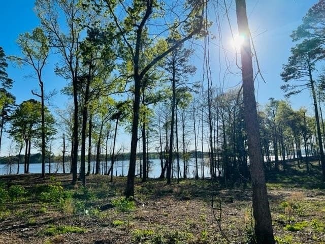 0 acres in Texas County - photo 2