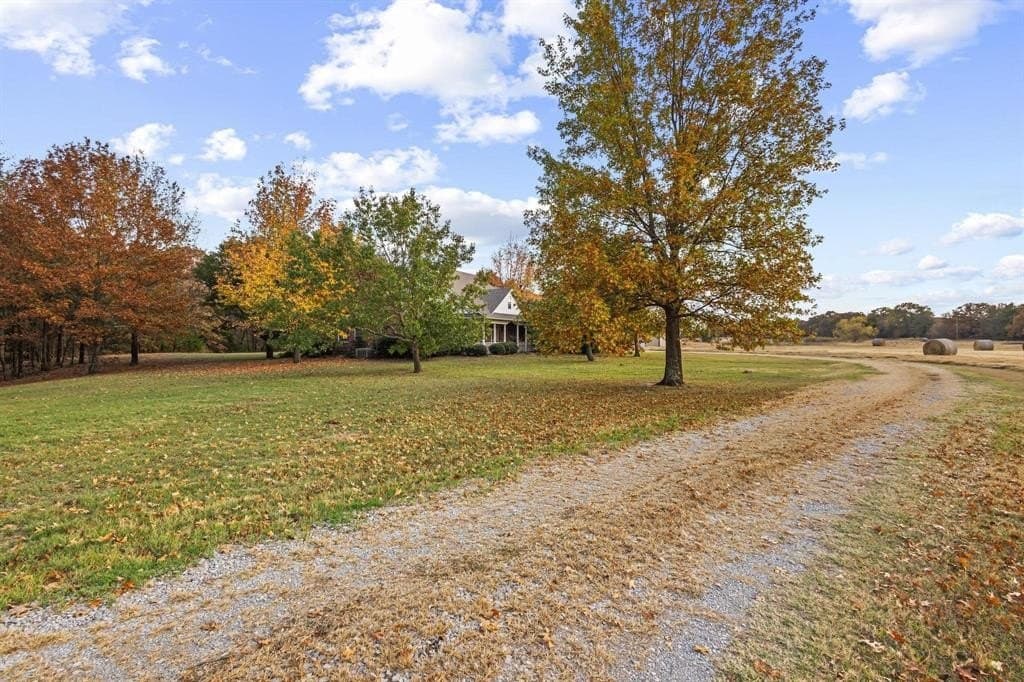 15 acres in Fannin County gallery image 2