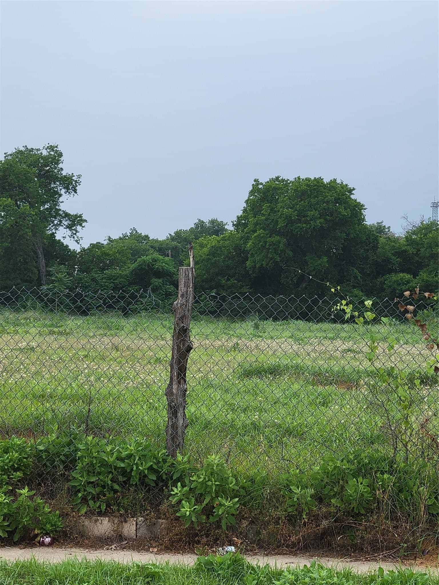 1 acres in Dallas County - photo 13