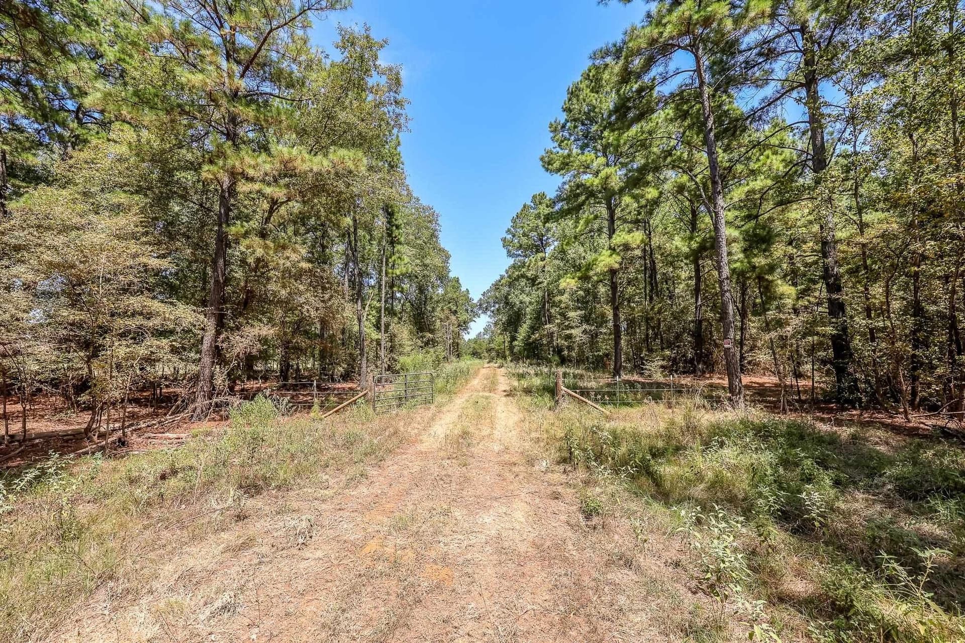 71.49 acres in Anderson County - photo 22
