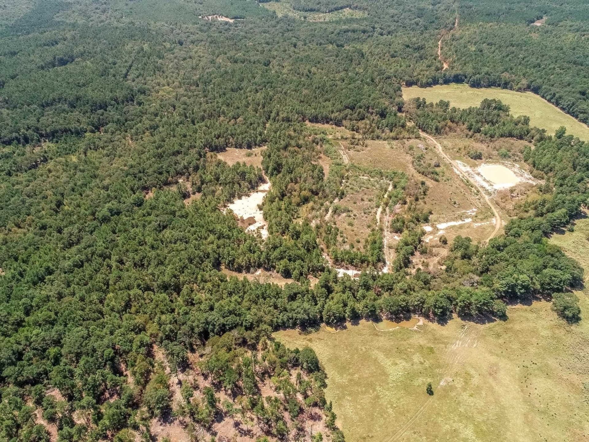 71.49 acres in Anderson County - photo 9