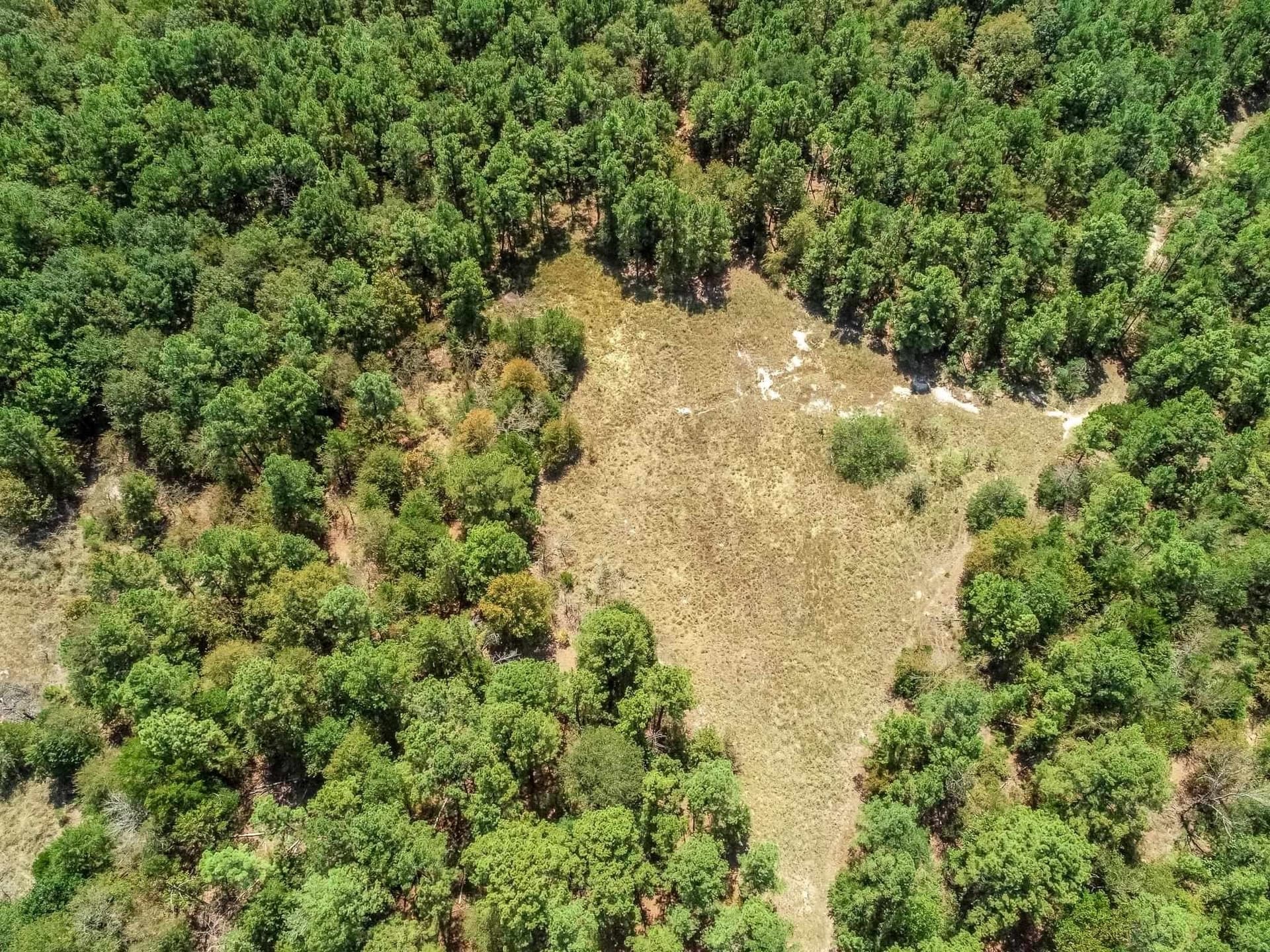71.49 acres in Anderson County - photo 11