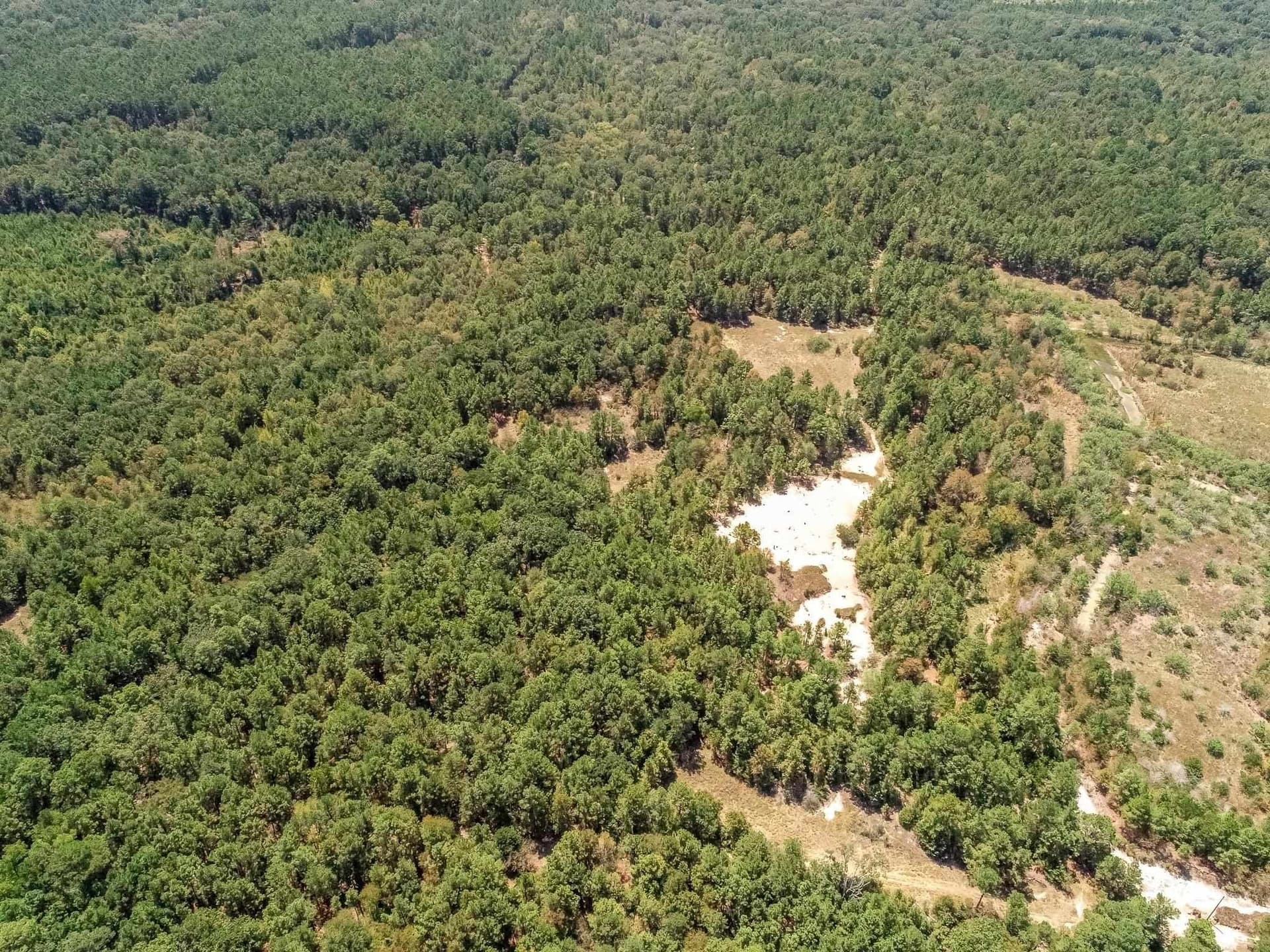 71.49 acres in Anderson County - photo 7
