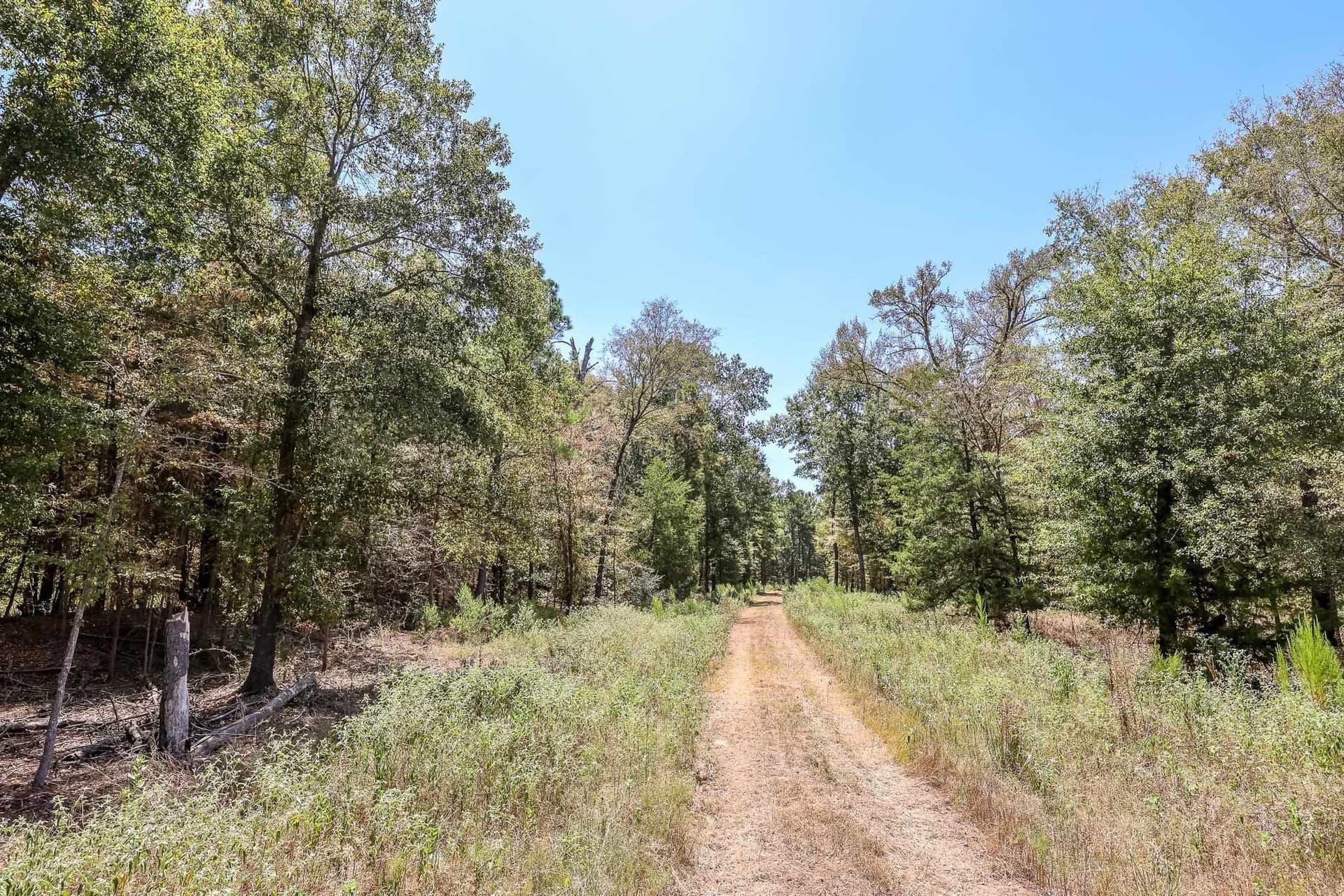 71.49 acres in Anderson County