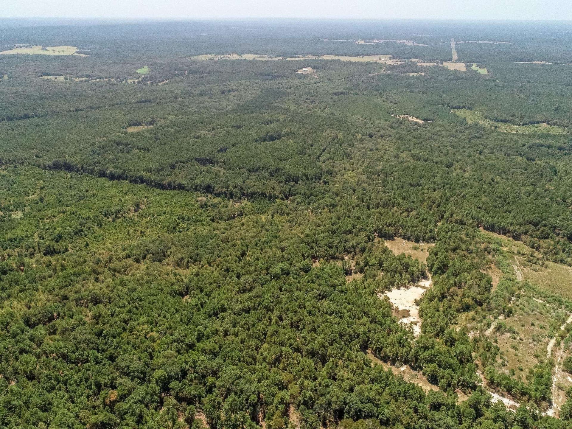 71.49 acres in Anderson County - photo 8