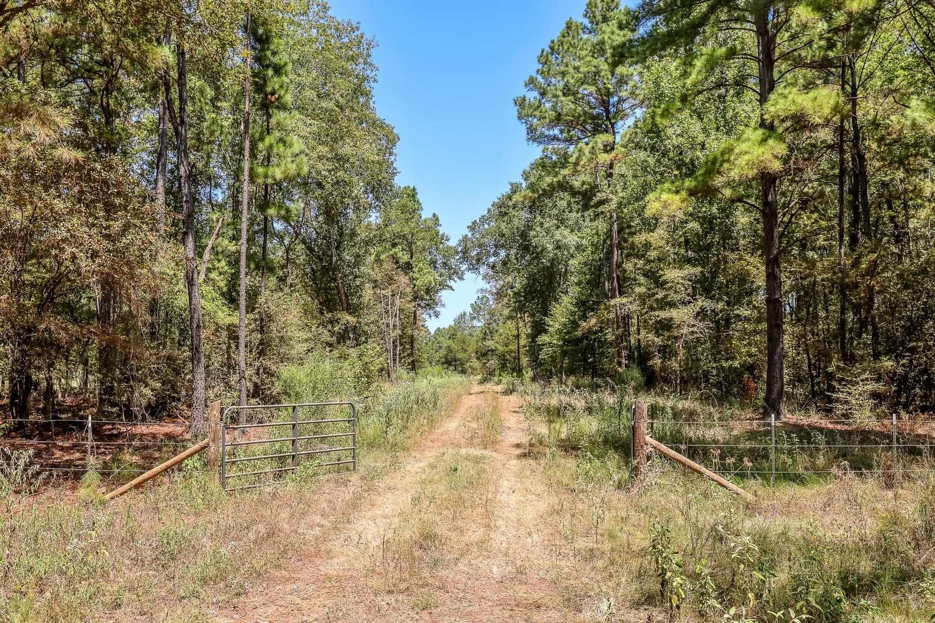 71.49 acres in Anderson County - photo 23