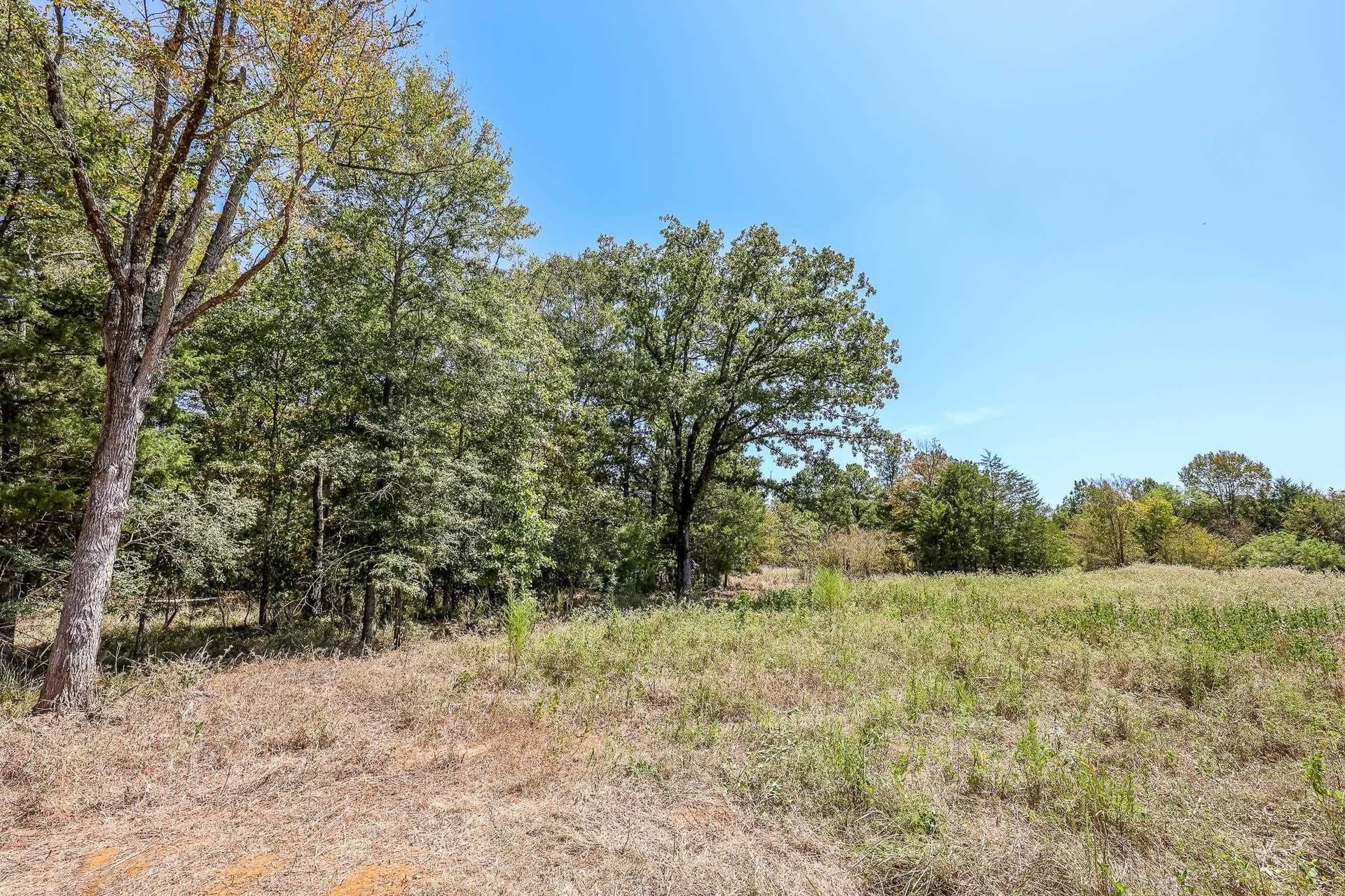 71.49 acres in Anderson County - photo 15