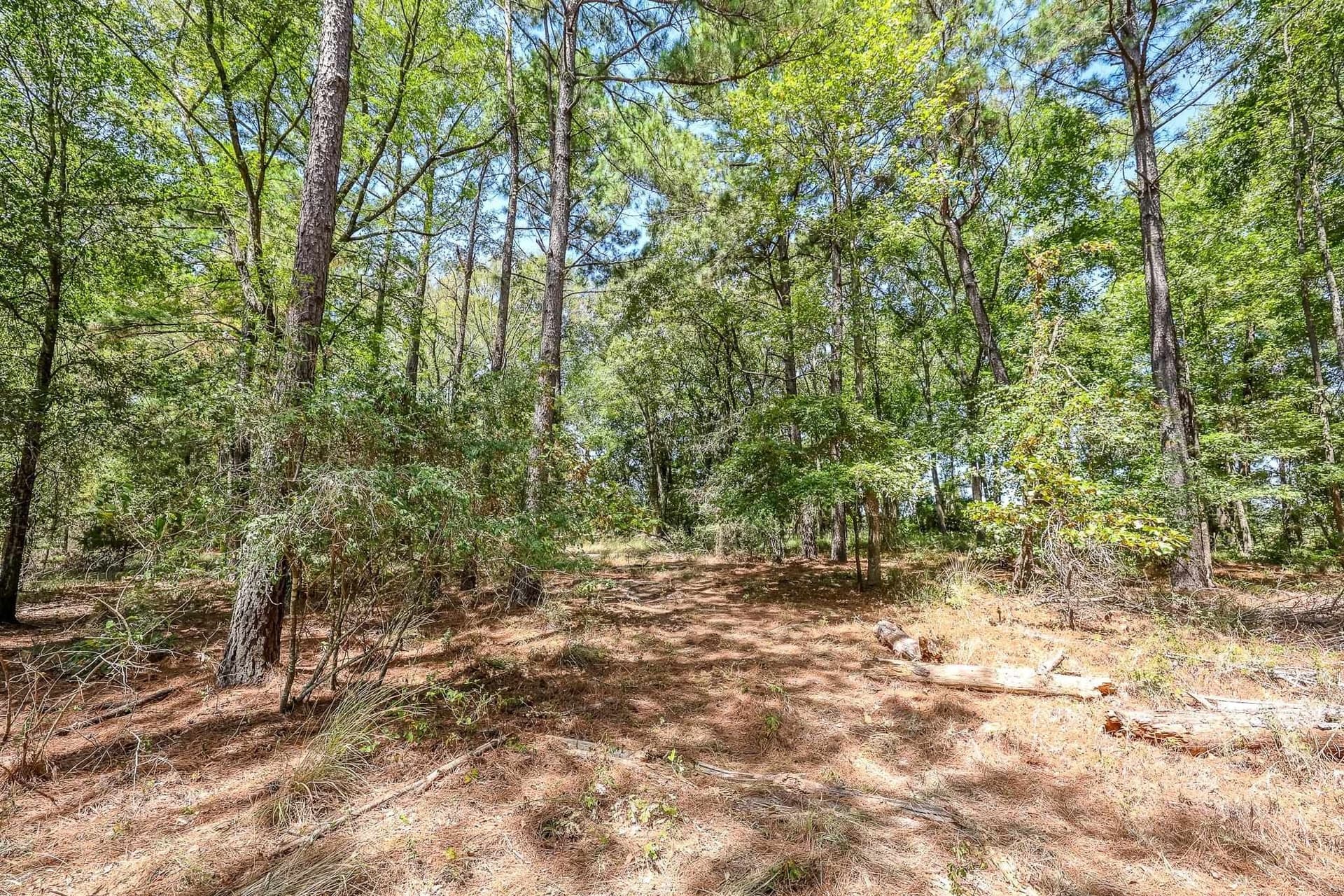 71.49 acres in Anderson County - photo 18